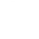 WordPress Development